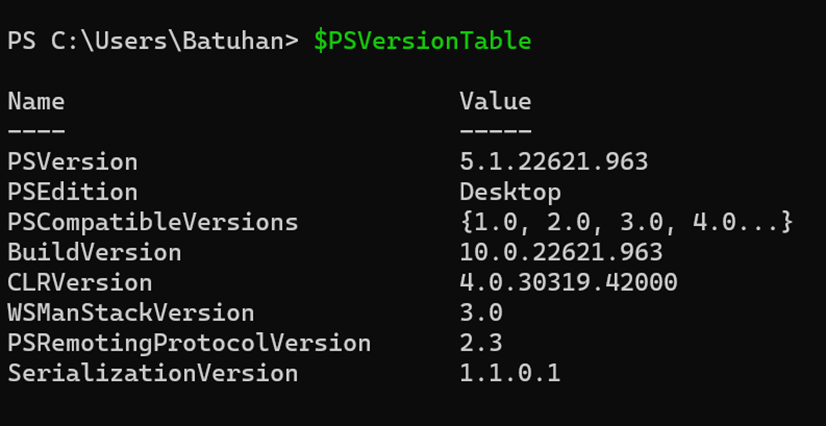 PowerShell Version Check